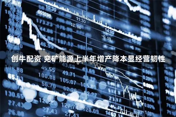 创牛配资 兖矿能源上半年增产降本显经营韧性